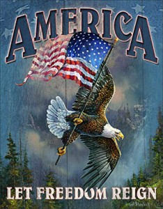 壁飾り インテリア タペストリー Desperate Enterprises America - Let Freedom Reign Tin Sign, 12.5"