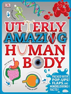 非常に素晴らしい人体 Utterly Amazing Human Body ハードカバー イラスト付き 人体について学ぶことが