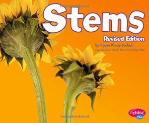 海外製絵本 知育 英語 Stems (Plant Parts)