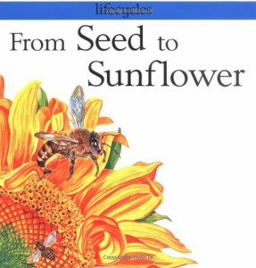 海外製絵本 知育 英語 From Seed to Sunflower (Lifecycles)