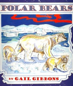 海外製絵本 知育 英語 Polar Bears