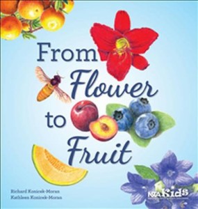 海外製絵本 知育 英語 From Flower to Fruit