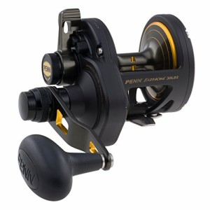 リール ペン Penn Penn 1292934 Fathom 40N Lever 2-Speed Lever Drag Fishing Reel