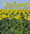 海外製絵本 知育 英語 Sunflowers (Pebble Books)