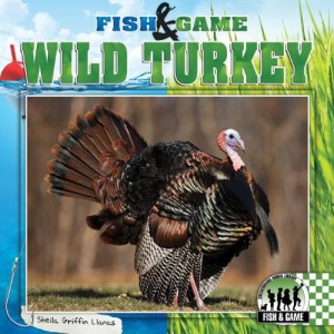 海外製絵本 知育 英語 Wild Turkey (Fish & Game)