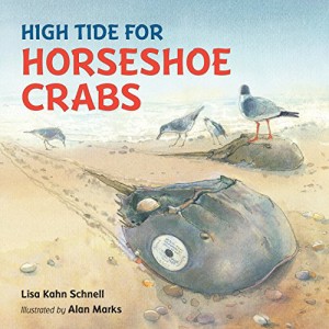 海外製絵本 知育 英語 High Tide for Horseshoe Crabs