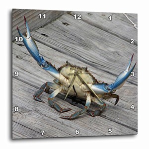 壁掛け時計 インテリア 海外モデル 3dRose dpp_63150_3 Blue Crab-Marine, Creature, Animal, Animals