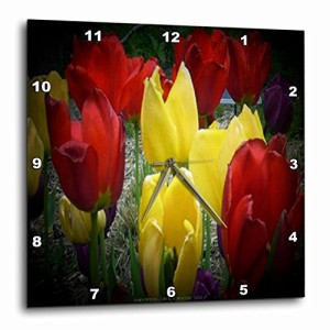 壁掛け時計 インテリア 海外モデル 3dRose dpp_6001_3 Red, Yellow and Purple Tulips in Spotlight-W