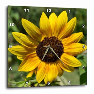 壁掛け時計 インテリア 海外モデル 3dRose dpp_42809_3 Colors of The Sun-Yellow Sunflowers-Floral 