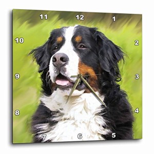 壁掛け時計 インテリア 海外モデル 3dRose Bernese Mountain Dog Wall Clock, 10 by 10-Inch