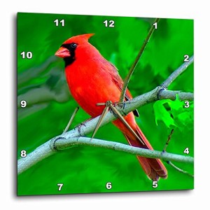 壁掛け時計 インテリア 海外モデル 3dRose Red Cardinal - Wall Clock, 13 by 13-Inch (DPP_3121_2)