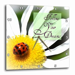 壁掛け時計 インテリア 海外モデル 3dRose DPP_31470_2 Follow Your Dreams Ladybug and Daisy Flower