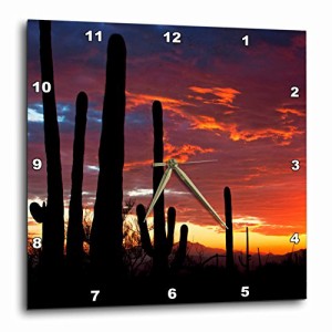 壁掛け時計 インテリア 海外モデル 3D Rose Sunset in The Sonoran Desert - Saguaro West NP - Tucso