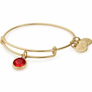 アレックスアンドアニ アメリカ アクセサリー Alex and Ani Birthstones Expandable Bangle for 