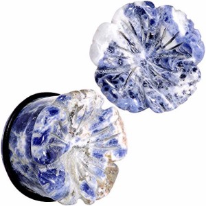 ボディキャンディー ボディピアス アメリカ Body Candy 7/8" Womens 2Pc Ear Plugs Blue Sodalite