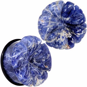 ボディキャンディー ボディピアス アメリカ Body Candy 25mm Womens 2Pc Ear Plugs Blue Sodalite