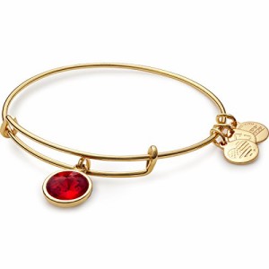 アレックスアンドアニ アメリカ アクセサリー Alex and Ani "Bangle Bar" July Imitation Births