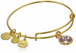 アレックスアンドアニ アメリカ アクセサリー Alex and Ani "Bangle Bar" June Imitation Births