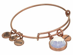 アレックスアンドアニ アメリカ アクセサリー Alex and Ani Duo Charm Mantra Bangle Bracelet R