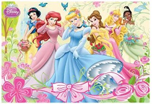ディズニープリンセス Disney Princess Magnetic 3D Motion Picture Card