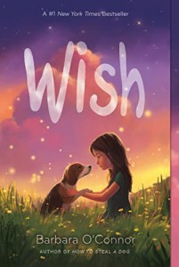 海外製絵本 知育 英語 Wish