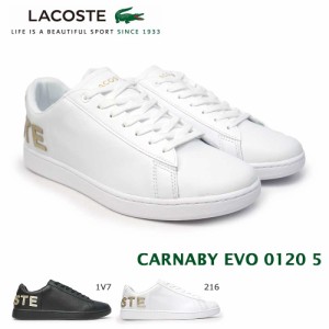 ラコステ メンズ スニーカー カーナビー エボ 0120 5 SM00860 レザー コートシューズ LACOSTE CARNABY EVO