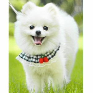 犬 ハーネス リード レース 通気性 犬猫兼用 夏 胴輪 かわいい おしゃれ 調節可能 柔らかい 軽量 小中型犬 猫用 ペット用品 簡単着脱 散