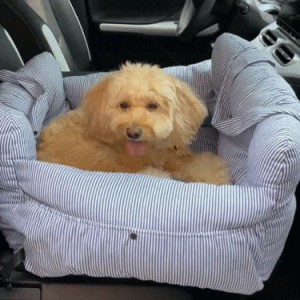 ドライブベッド 犬用 ドライブボックス ペット 車用 ドライブシート キャリーバッグ 助手席 後部座席 組立簡単 固定ベルト付き 飛び出し