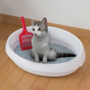 猫トイレ 猫トイレ 水洗い可能 PP素材 小柄な猫用 耐久性 掃除しやすい 子猫 トイレ おしゃれ 簡単掃除 清潔 48*38*13cm 清潔トイレ 猫用