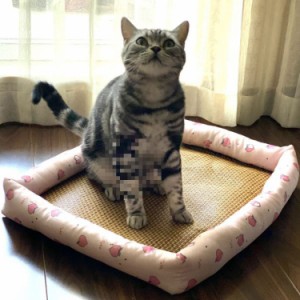 クッション スクエア ペットベット 犬用ベッド 犬 ベット 犬 猫 ベッド 冬 暖かい 洗える ペットベッド 夏用 猫 犬 クッション 犬用ベッ