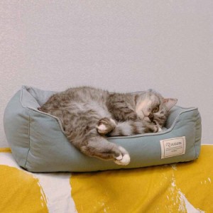 ペットベッド 洗える ふわふわ ペットクッション 冬 犬 猫 ベッド 中型犬 柴犬 あったか ネコ キャット ドック ペット用ベッド 柔らかく