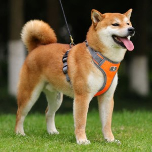 犬 ハーネス 犬用胴輪 調節可能 夜間反射 小型犬/中型犬/大型犬 通気性 メッシュ 歩行補助 散歩 しつけ用 軽量 おしゃれ 引っ張り防止 ド