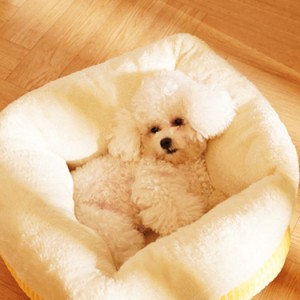 犬 ベッド ペットベッド 猫 犬 円形 高反発 ふわふわ クッション 可愛いベッド 耐久性 居心地の良い 丸洗い 滑り止め 洗える ペットソフ