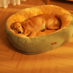 ペットベッド 冬用 可愛い 猫ベッド 洗える 犬ベッドおしゃれ ふわふわ あったか 犬小屋 ペット ベッド 猫 犬ベッド 可愛い ベッド 犬 ド