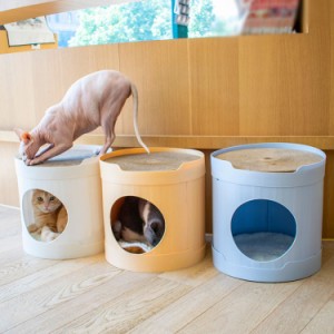 猫ハウス 猫の分娩室 ペット用ベッド 室内 屋外 防水 プラスチック オシャレ感 四季通用 組立簡単 ペットハウス 小型犬 猫 ハウス 犬小屋