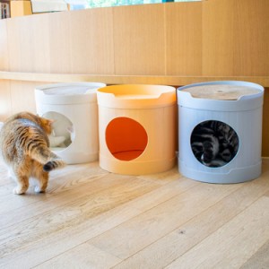 猫 ハウス ペットハウス 屋外 室内 防水 プラスチック 小型犬/猫/うさぎ 多頭 アウトドアハウス 防水 防寒 冬 外猫ハウス 防風 防雨 組立