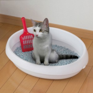 小型ネコ用トイレです ネコのトイレ 猫トイレネコ いつでも清潔に トイレ 猫 おしゃれ 猫のトイレ トイレタリー スコップ付 猫型トイレ 