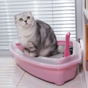 ネコトイレ 猫ちゃん用コーナートイレ 5色 ブルー ピンク パープル グレー 三角 ハーフカバー おしゃれ 清潔 掃除しやすい 飛び散らない 