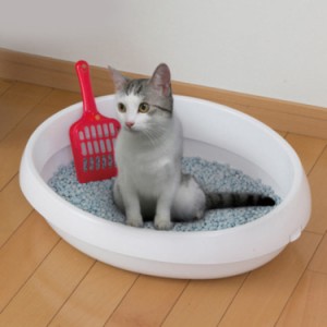 猫 トイレ シンプル トレー ネコのトイレ しろ 猫 トイレ 本体 トレー 丸型 型 シンプル おしゃれ キャット ネコ ねこ 白 通気性 掃除し