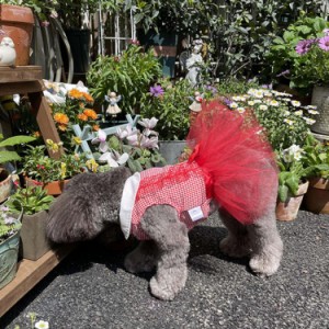 犬のドレス 子犬のスカート 犬の王女のドレス ツツの花綿のスカート 結婚式のレースのドレス 小さな犬 猫 豪華なドレス ペット服 ワンピ