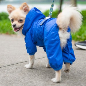 犬用レインコート 犬レインコート ペットレインコート 犬服 ペット雨具 梅雨 対応 ペット雨服 着せやすい リード穴あり 帽子付 通気 完全