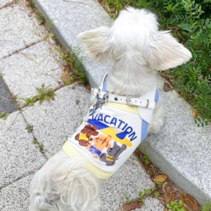 ドッグウェア 夏 犬服 春夏 袖なし キャミソール キャミ 犬 服 犬の服 ペットウェア ペット服 韓国 かわいい 女の子 小型犬 中型犬 通気 