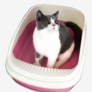 シンプルなデザインでインテリアにピッタリ かわいい明るめカラーがおしゃれなキャットトイレです 猫トイレ 小さめ 猫 トイレ トイレトレ