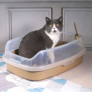 大きな猫ちゃんにも ハーフカバーで飛び散り防止 スコップ キャットトイレ スクエアワイド 猫 トイレ 本体 ネコトイレ 猫用トイレ キャッ