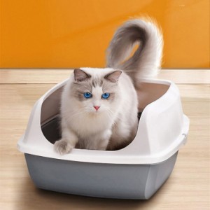 猫用トイレ 抗菌キャットトイレ ペット トイレ 多頭飼 抗菌 頑丈 丈夫 大型サイズ 大型猫 大型 シンプル 可愛い 猫 トイレ 大型 多頭飼 