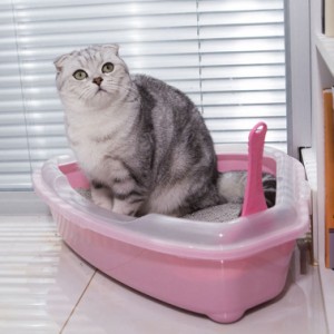 きれいな水色です ネコトイレ 猫ちゃん用コーナートイレ 猫トイレ ネコトイレ 三角 ハーフカバー おしゃれ 清潔 掃除しやすい 飛び散らな