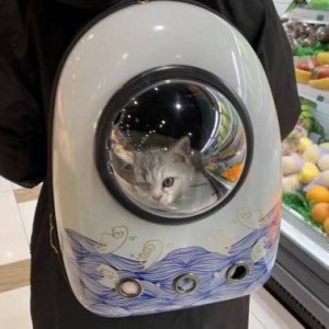 ペットバッグ ペットリュック ファッション ペットキャリーバッグ 宇宙カプセル 犬猫リュック 透明 宇宙ハンドバッグ ショルダーバッグ 