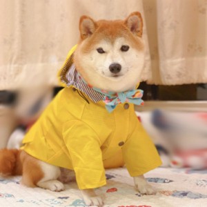 レインコート 犬用カッパ 防水 ペット服 雨具 通気 完全防水 帽子付 マジックテープ 着せやすい レインウエア リード穴あり 犬用雨柴犬合