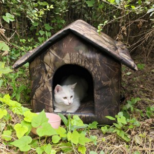 キャッハウス 猫ハウス 犬小屋 ペットハウス 屋外 野良 猫 犬 小型犬 中型犬 アウトドア 屋外 防水 防風 安全 暖かい 子猫 厚め 隠れ家 