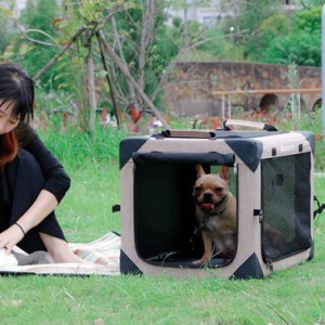 2way ペットキャリーバッグ ショルダー 小型 猫 犬 折りたたみ 軽量 通気性 ねこ ネコ うさぎ 通気 手提げ キャリーバッグ ピンク キャリ